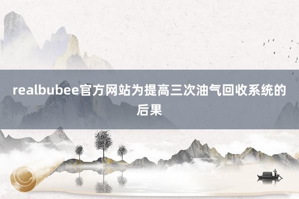 realbubee官方网站为提高三次油气回收系统的后果